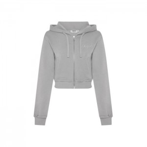 Trapstar TS-Star Silver Satin Applique Hoodie Φουτερ με Κουκουλα γυναικεια γκρι Greece | PC48-654